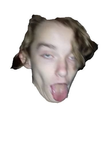 Bidlo sticker 4