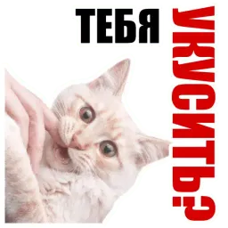 Таков мой замысел sticker 5