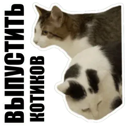 Таков мой замысел sticker 6