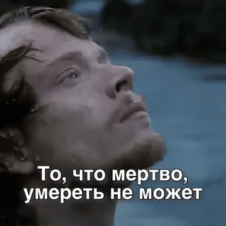 мемчики sticker 34