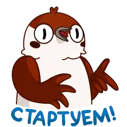 Воробушек Чирик sticker 6