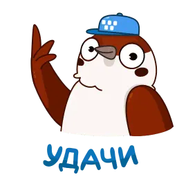Воробушек Чирик sticker 9