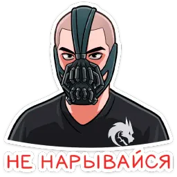 Team Spirit sticker 10