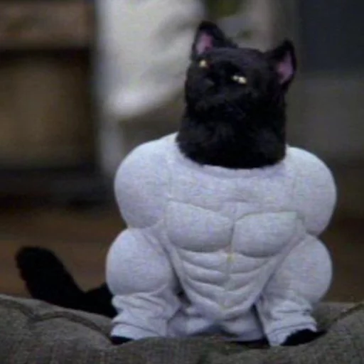 Cat Salem sticker 8
