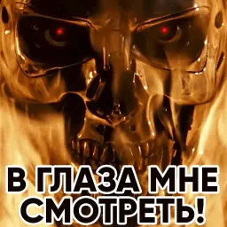 Терминатор sticker 2