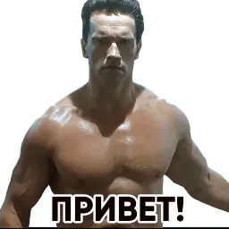 Терминатор sticker 3