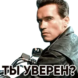 Терминатор sticker 7