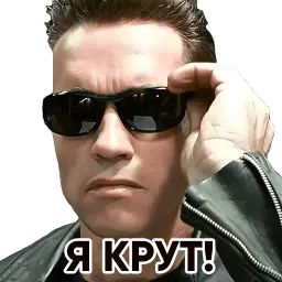 Терминатор sticker 8