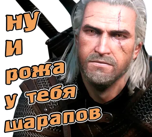 The witcher sticker 10