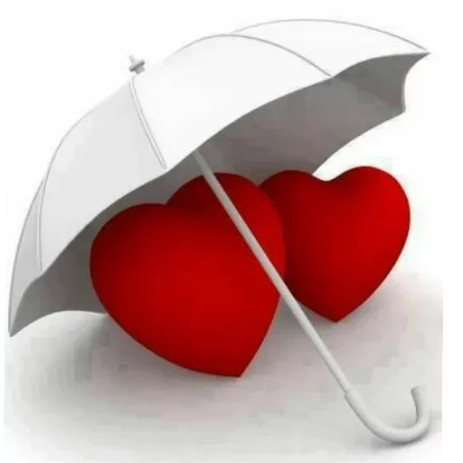 Amour sticker 17