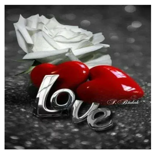 Amour sticker 43