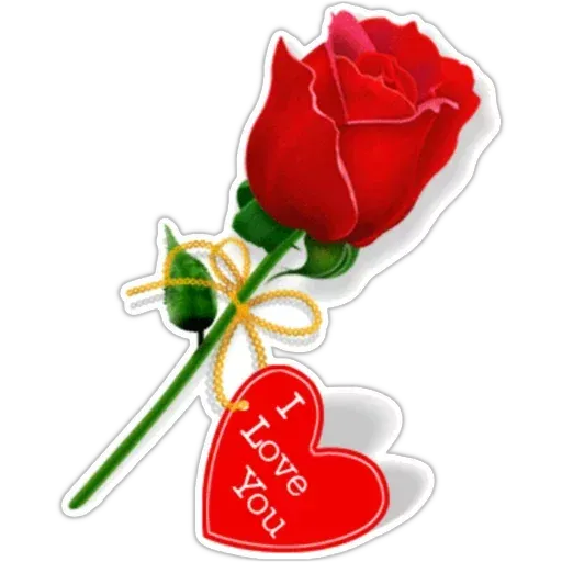 Amour sticker 54