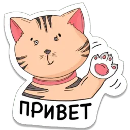 Тигрёнок Telegram sticker pack