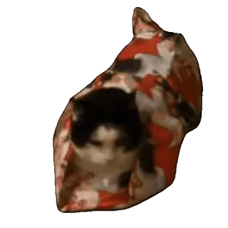 tiktok_cats_animals sticker 35