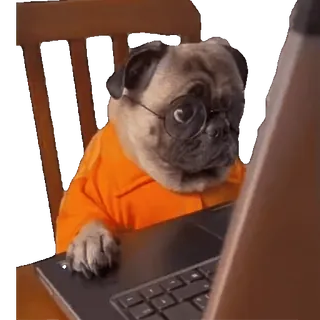 tiktok_cats_animals sticker 36