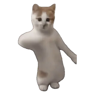 tiktok_cats_animals sticker 56