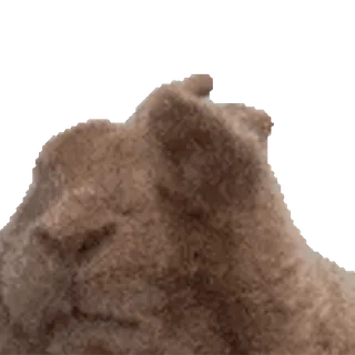 tiktok_cats_animals sticker 60