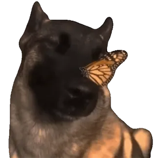 tiktok_cats_animals sticker 63