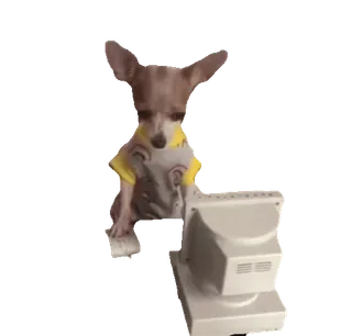 tiktok_cats_animals sticker 66