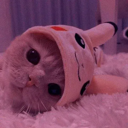 tiktok_cats_animals sticker 73
