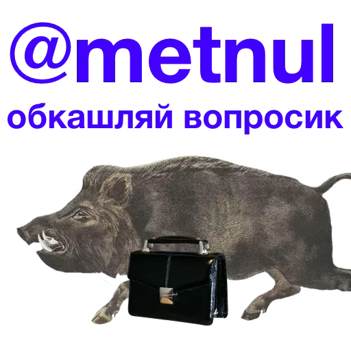tiktokemotes sticker 69