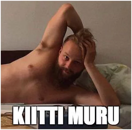 TimanttinenTiimi'17 Telegram sticker pack