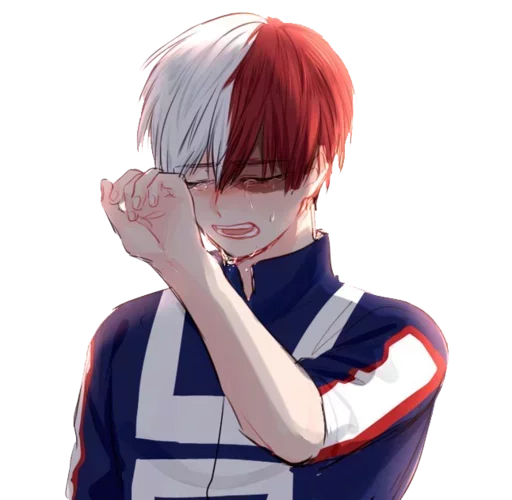 Todoroki sticker 2