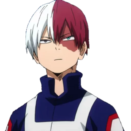 Todoroki sticker 11