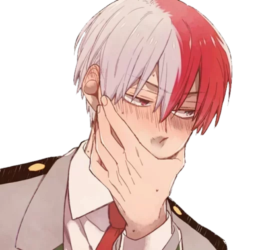 Todoroki sticker 3