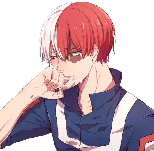 Todoroki sticker 5