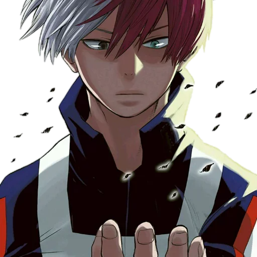 Todoroki sticker 6