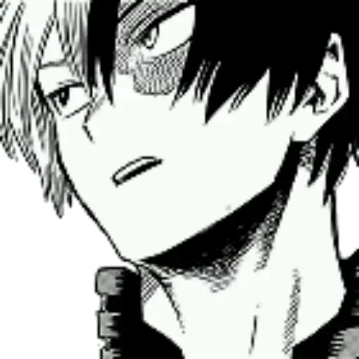 Todoroki sticker 7