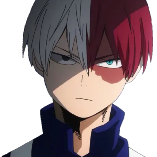 Todoroki sticker 10