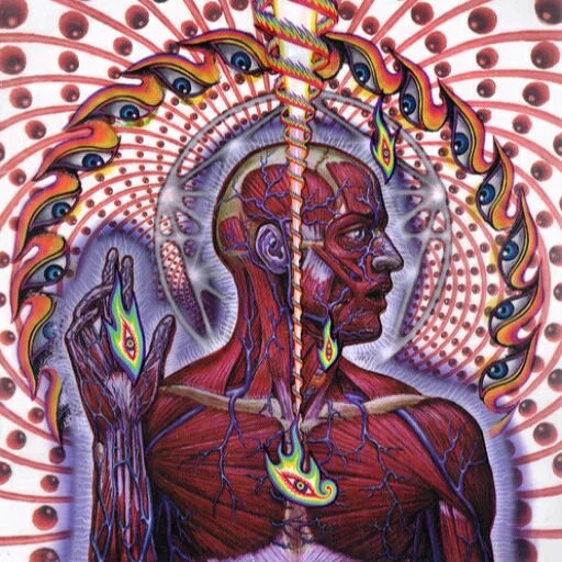 Tool sticker 49
