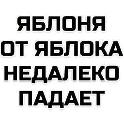 Лучшие фразы sticker 4