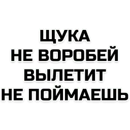 Лучшие фразы sticker 5