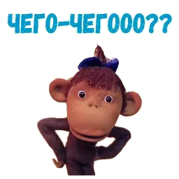 38 попугаев sticker 5