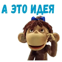38 попугаев sticker 8