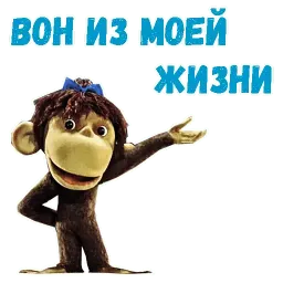 38 попугаев sticker 10