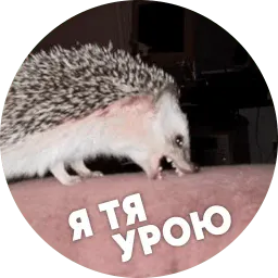 Упоротые ёжики sticker 11