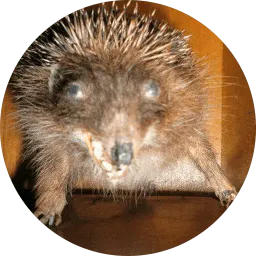 Упоротые ёжики sticker 12