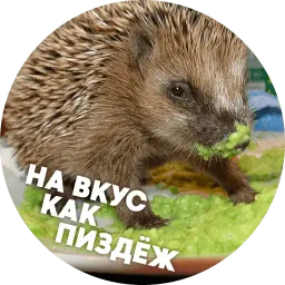 Упоротые ёжики sticker 4