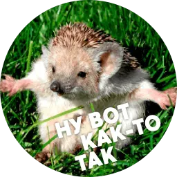 Упоротые ёжики sticker 5