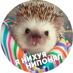 Упоротые ёжики sticker 7