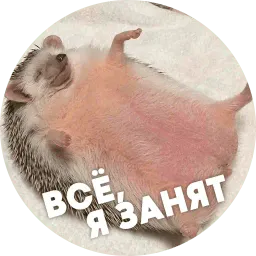 Упоротые ёжики sticker 8