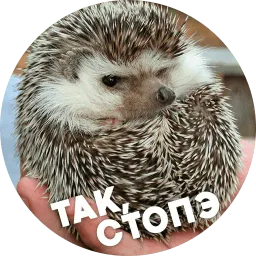 Упоротые ёжики sticker 9