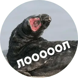 ?Тюли Telegram sticker pack