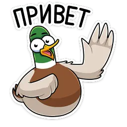 Утя sticker 11