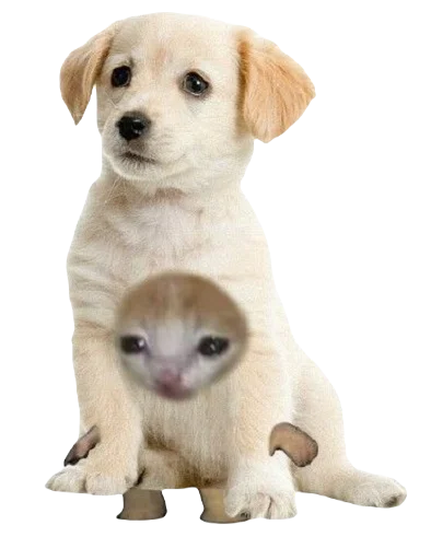 uwushka sticker 6