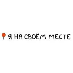 VANLIFE Russia sticker 3